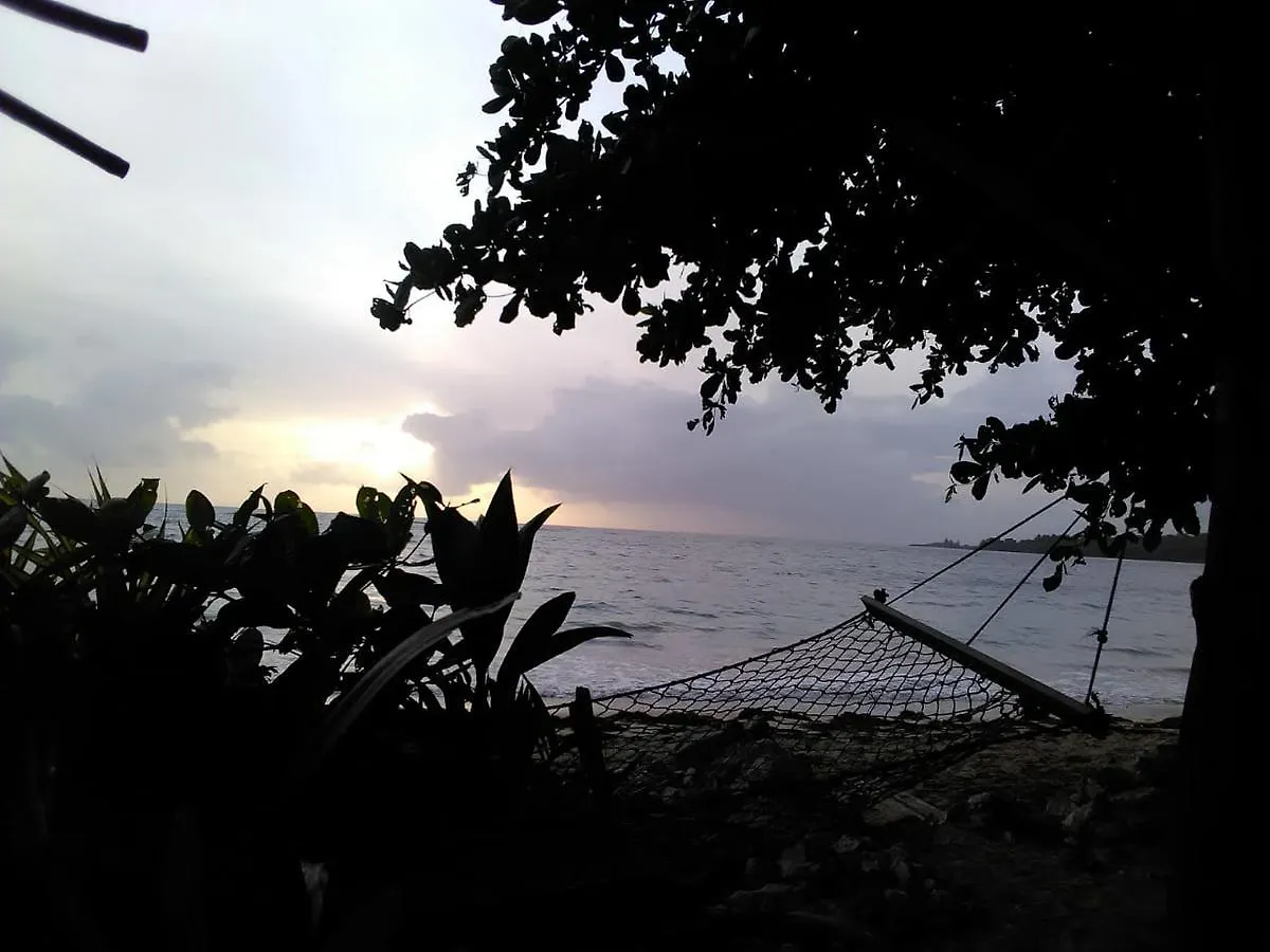 Lodge Port Antonio Brian'S Beach House Hotel