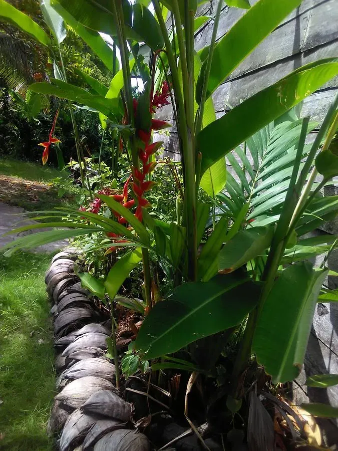 Lodge Port Antonio Brian'S Beach House Hotel