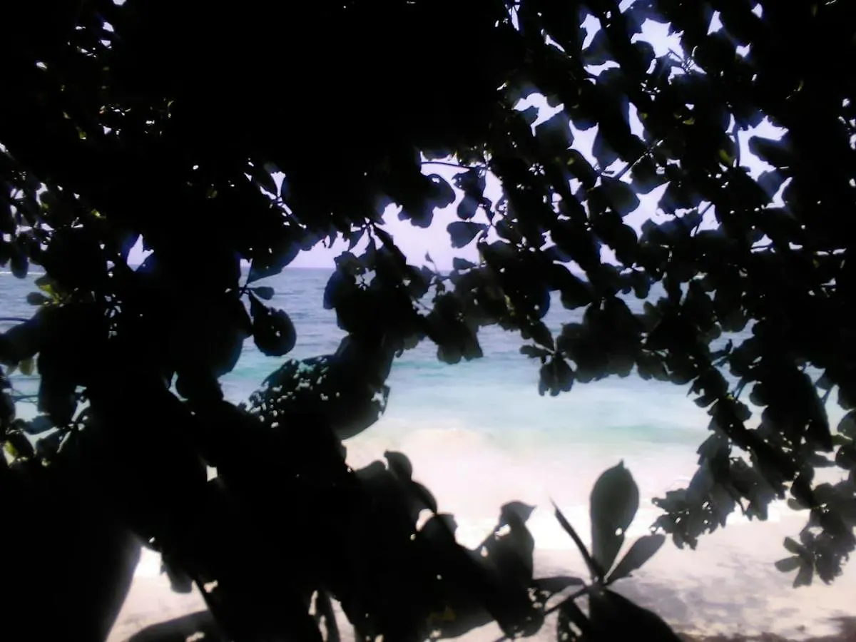 Lodge Port Antonio Brian'S Beach House Hotel Jamaica